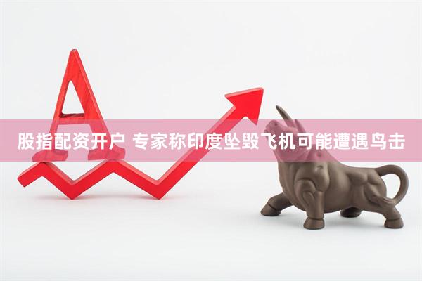 股指配资开户 专家称印度坠毁飞机可能遭遇鸟击