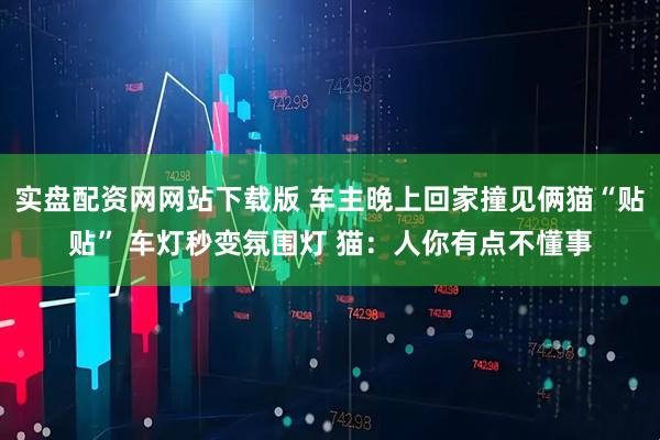 实盘配资网网站下载版 车主晚上回家撞见俩猫“贴贴” 车灯秒变氛围灯 猫：人你有点不懂事